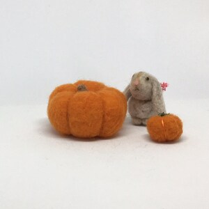 May include: A small, gray felt bunny with a pink flower on its head stands next to two orange felt pumpkins. The larger pumpkin is in the foreground and the smaller pumpkin is behind the bunny.