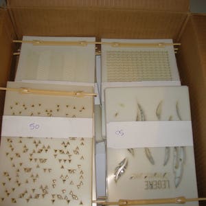 Peut inclure: Cinq cartes rectangulaires blanches avec différents motifs et designs. Les cartes sont étiquetées avec les numéros 50 et 65.