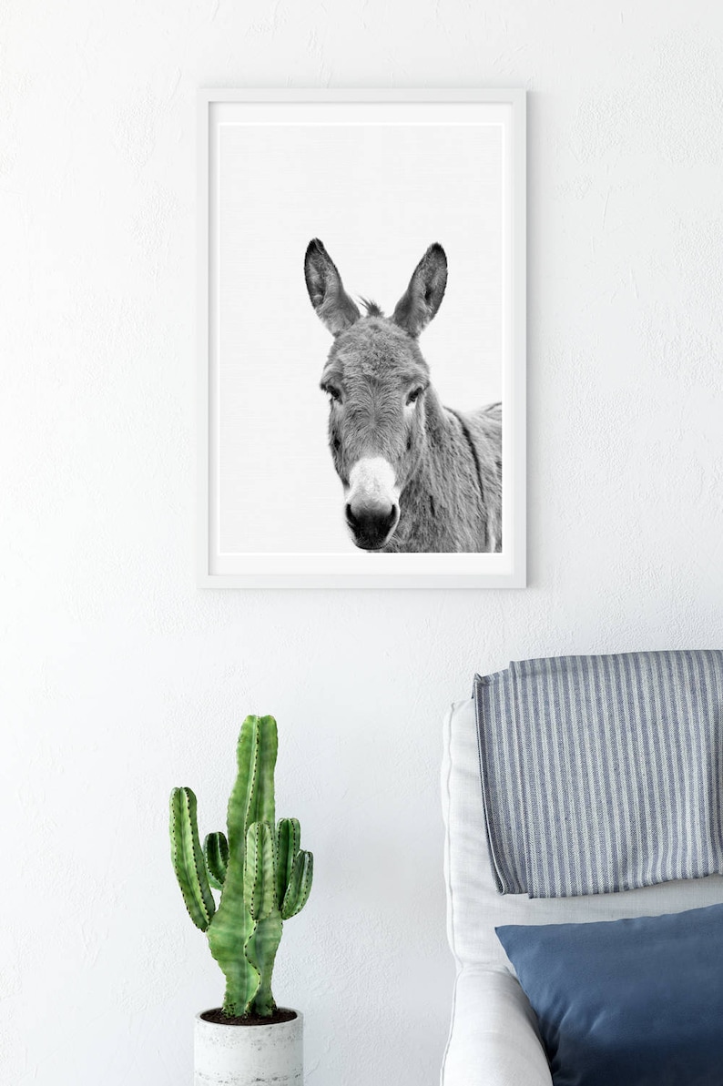 Black and white Donkey Print Donkey wall art Peekaboo Etsy