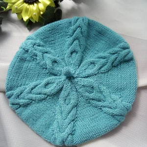 May include: A teal blue knitted beret with a cable knit pattern.