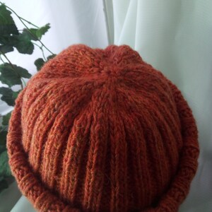 May include: A rust-colored, ribbed knit beanie hat. The hat is made of a thick, textured yarn and features a folded brim. The hat is a warm, cozy accessory for cold weather.