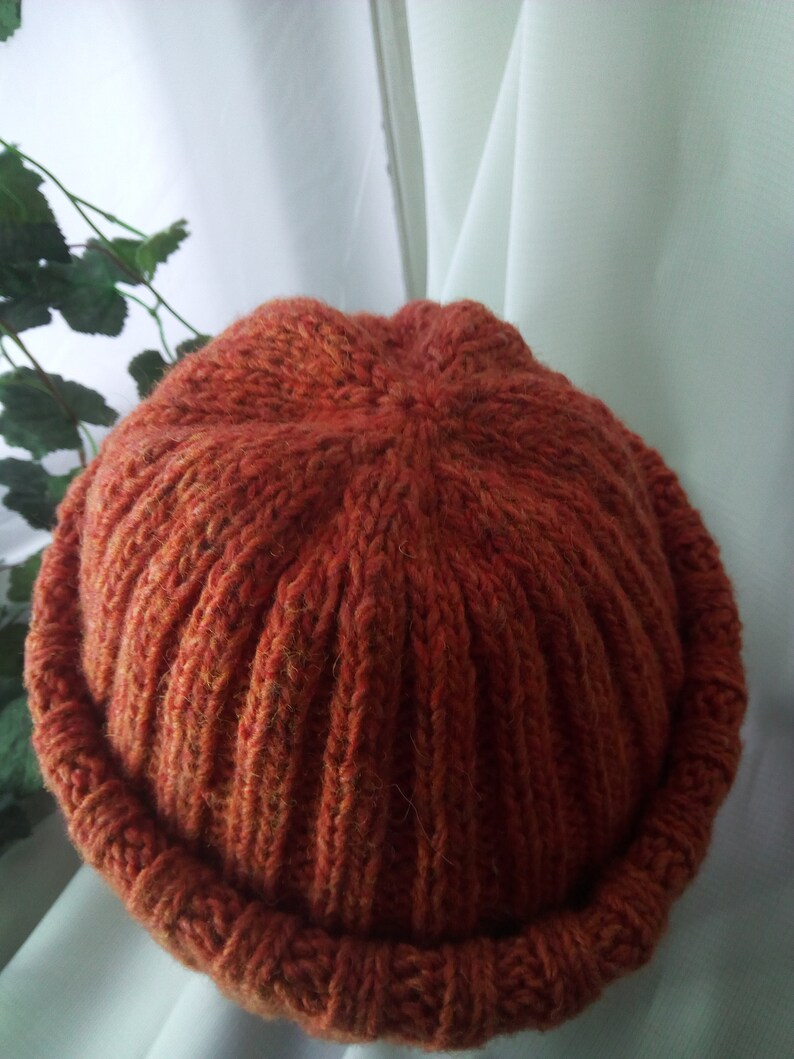 May include: A rust-colored, ribbed knit beanie hat. The hat is made of a thick, textured yarn and features a folded brim. The hat is a warm, cozy accessory for cold weather.