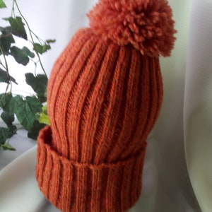 May include: An orange knit beanie with a large pom-pom on top. The hat is made of a ribbed knit fabric and has a folded brim. The color is a warm, autumnal orange.