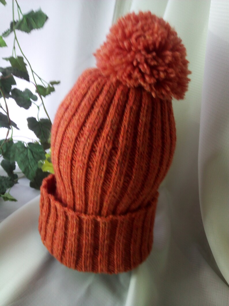 May include: An orange knit beanie with a large pom-pom on top. The hat is made of a ribbed knit fabric and has a folded brim. The color is a warm, autumnal orange.
