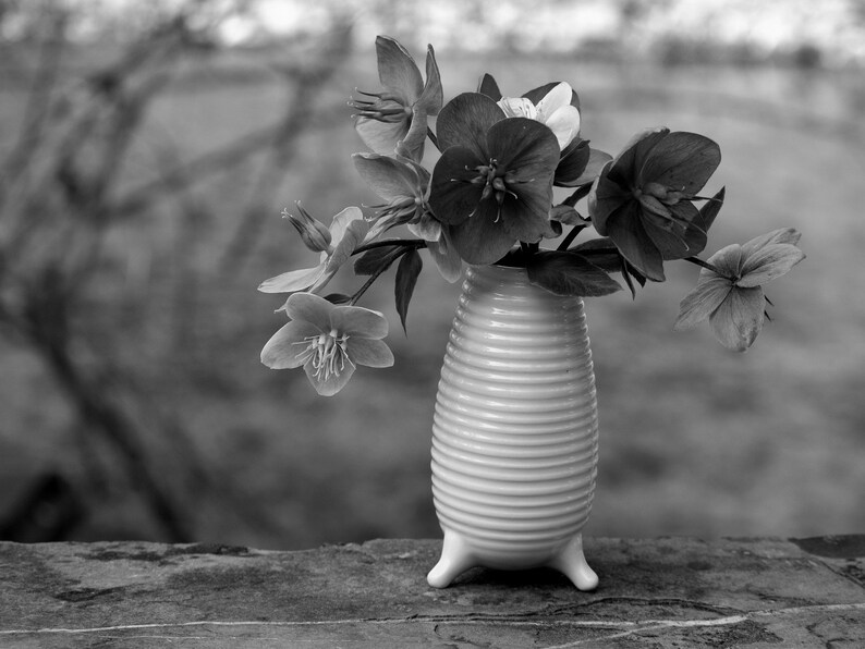 Vase en porcelaine blanche, vase à fleurs trépied, vases pour fleurs, vase de table à manger, petit vase, vase en porcelaine, décoration de table, cadeau d'anniversaire image 9