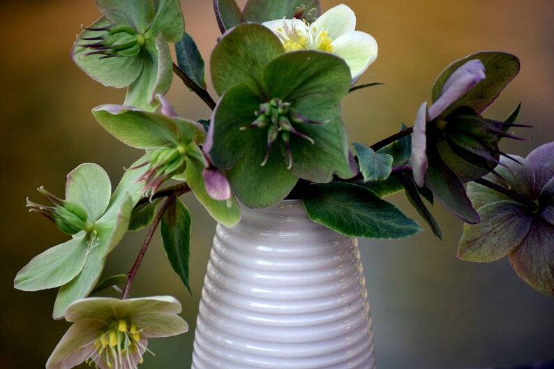 Vase en porcelaine blanche, vase à fleurs trépied, vases pour fleurs, vase de table à manger, petit vase, vase en porcelaine, décoration de table, cadeau d'anniversaire image 3