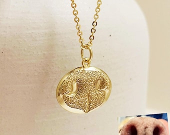 Collar personalizado con la huella de la nariz de tu mascota - Oro de 14k, joyería conmemorativa de plata de ley