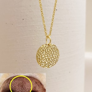 Hammered Disc Charm necklace • Personalized Pet Nose Print Necklace • Christmas Gift • Handwriting ,fingerprint engrave