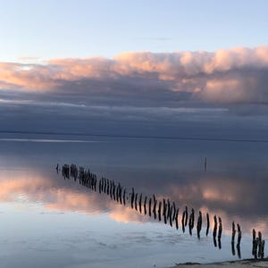 Photographic Beeswax Wrap - Clifton Springs Jetty