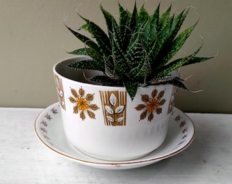 Lovely ceramic indoor planter. Made from J & G Meakin "Town Talk" sugar bowl. Perfect for indoor plants, succulents and cacti.