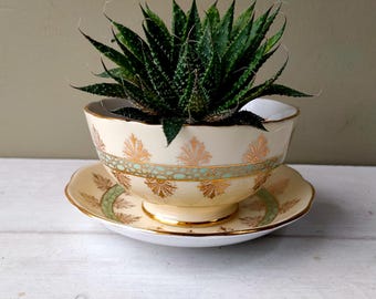 Lovely ceramic indoor planter. Made from Roslyn China sugar bowl and saucer in green cream and gold pattern. Perfect gift.