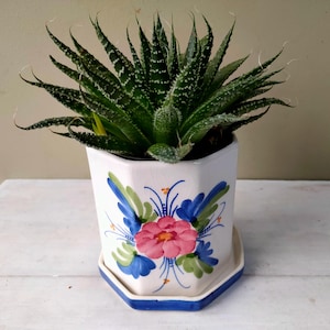 Mooie plantenbak gemaakt van Hudson's International Exclusive Ceramic Collection voorraadpot met handgeschilderde bloemendecoratie. Prachtig cadeau!