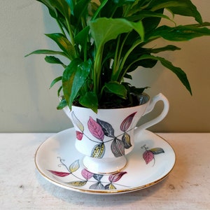 Lovely ceramic indoor or outdoor tea cup planter. Made from vintage Windsor bone china leaf pattern cup and saucer. Lovely Cactus planter.