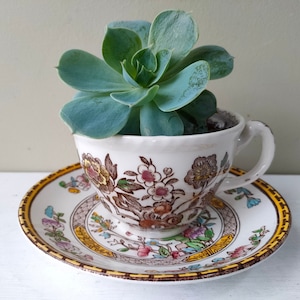 Puede incluir: Una taza de té y un platillo vintage con flores con una planta suculenta creciendo dentro. La taza de té y el platillo son blancos con diseños florales marrones, amarillos y rosas.