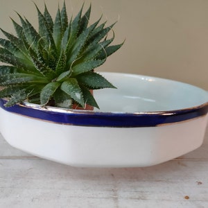 Pode incluir: Tigela de servir de cerâmica branca com acabamento azul e dourado e duas alças. A tigela está vazia e uma planta suculenta verde está em cima.