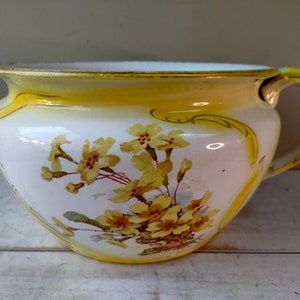 Gorgeous antique Chamber pot planter by Grimwades with primrose design. Perfect for plants, bulbs, orchids, succulents. Lovely gift.