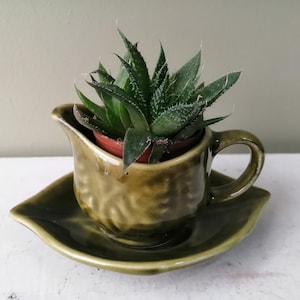 Beautiful little green sauce/gravy boat and saucer with leaf decoration. 573 E mint sauce jug. Sweet planter for cactus and succulents.