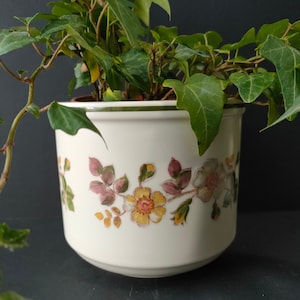 Könnte beinhalten: Weißer Keramiktopf mit grünem Rand und Blumenmuster mit rosa, gelben und grünen Blumen. Der Topf ist mit grünem Efeu gefüllt.