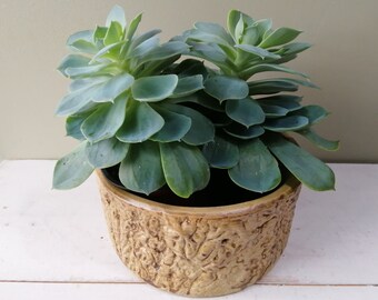 Vintage Hillsonia large planter/jardiniere model number 427. Log Effect Moira Pottery, studio pottery. Practical size for pot plants.