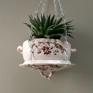 May include: A hanging planter with a succulent plant. The cream-colored ceramic pot features brown floral patterns and small handles. A matching saucer is suspended below. The planter hangs from a silver chain against a neutral wall.