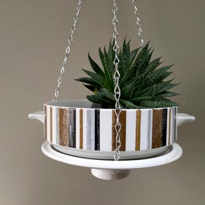 Puede incluir: Una maceta colgante con un diseño a rayas en marrón, blanco y gris, que contiene una planta suculenta verde. La maceta está suspendida por una cadena plateada y se apoya en un platillo blanco.