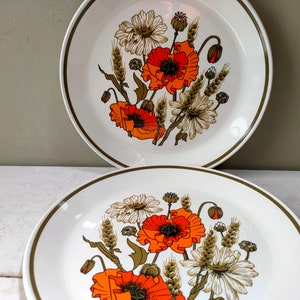 May include: Two white ceramic dinner plates with a brown rim. The plates feature a floral design with orange poppies, white daisies, and brown wheat stalks.