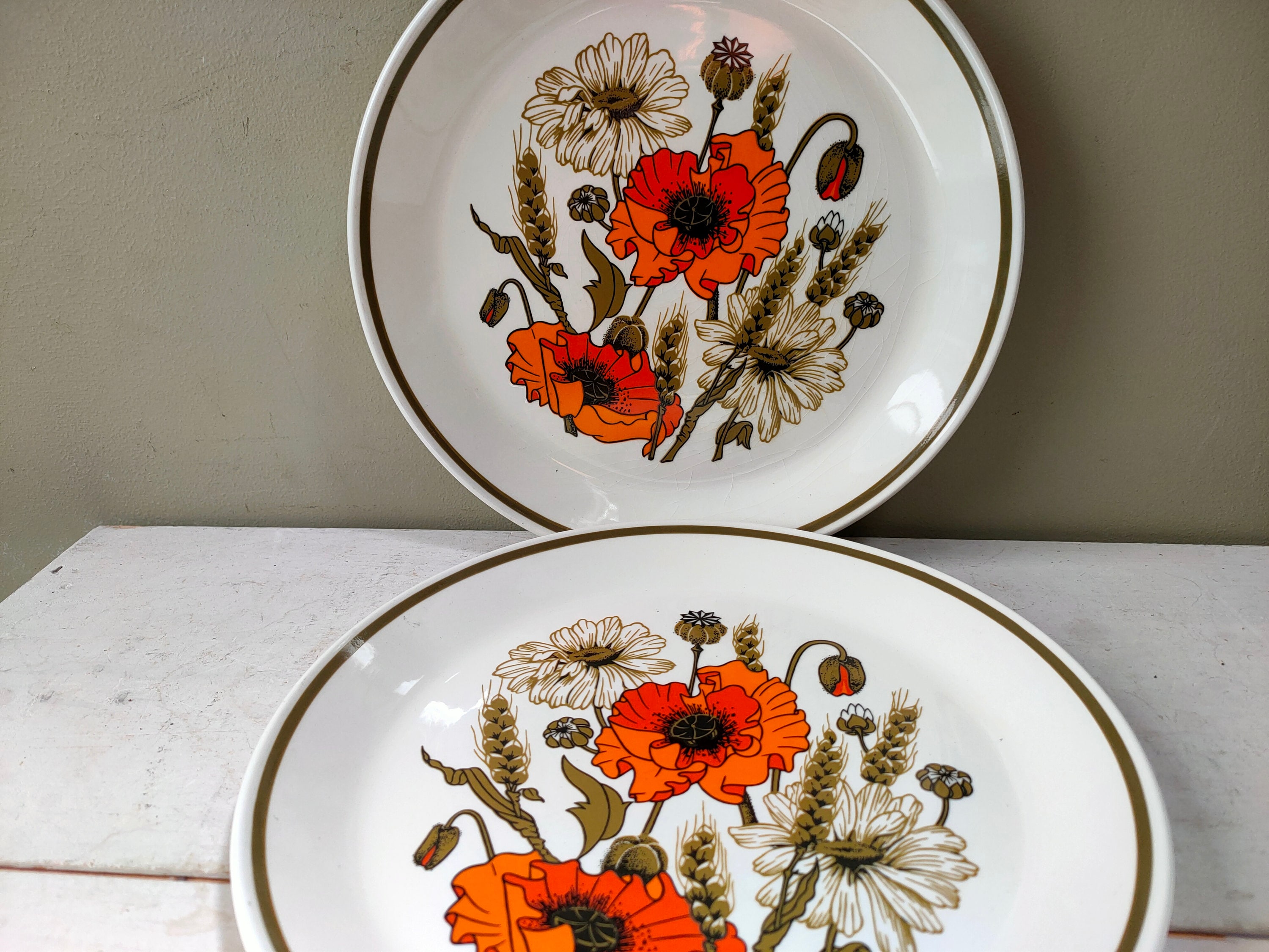 Stylish Set of 3 1960's J and G Meakin Studio Poppy Design 9