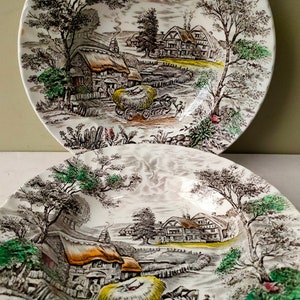 Stunning pair of 10" serving dishes/soup bowls in "Yorkshire" Pattern by SR (Ridgway) pottery. colour filled transferware. Lovely gift.