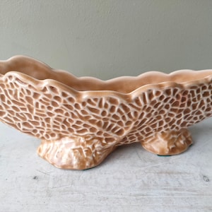 Può includere: Un vaso da fiori in ceramica di colore marrone chiaro a forma di conchiglia con superficie testurizzata. Il vaso ha tre gambe ed è progettato per contenere piante.
