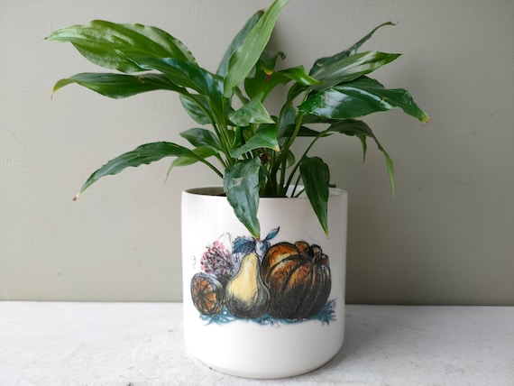 Schöner und praktischer vintage Wedgwood Blumentopf / Übertopf mit tollem Retro-Muster 