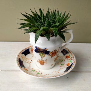 May include: A white ceramic creamer pitcher and matching saucer featuring a decorative pattern of dark blue, orange, and gold floral motifs. A spiky green succulent plant is potted inside the creamer, which has a curved handle and a spout.
