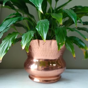 Stunning Lecellier Villedieu Hammered Copper planter/jardiniere. French vase, jardiniere or cache pot. Perfect for house plants Lovely gift!