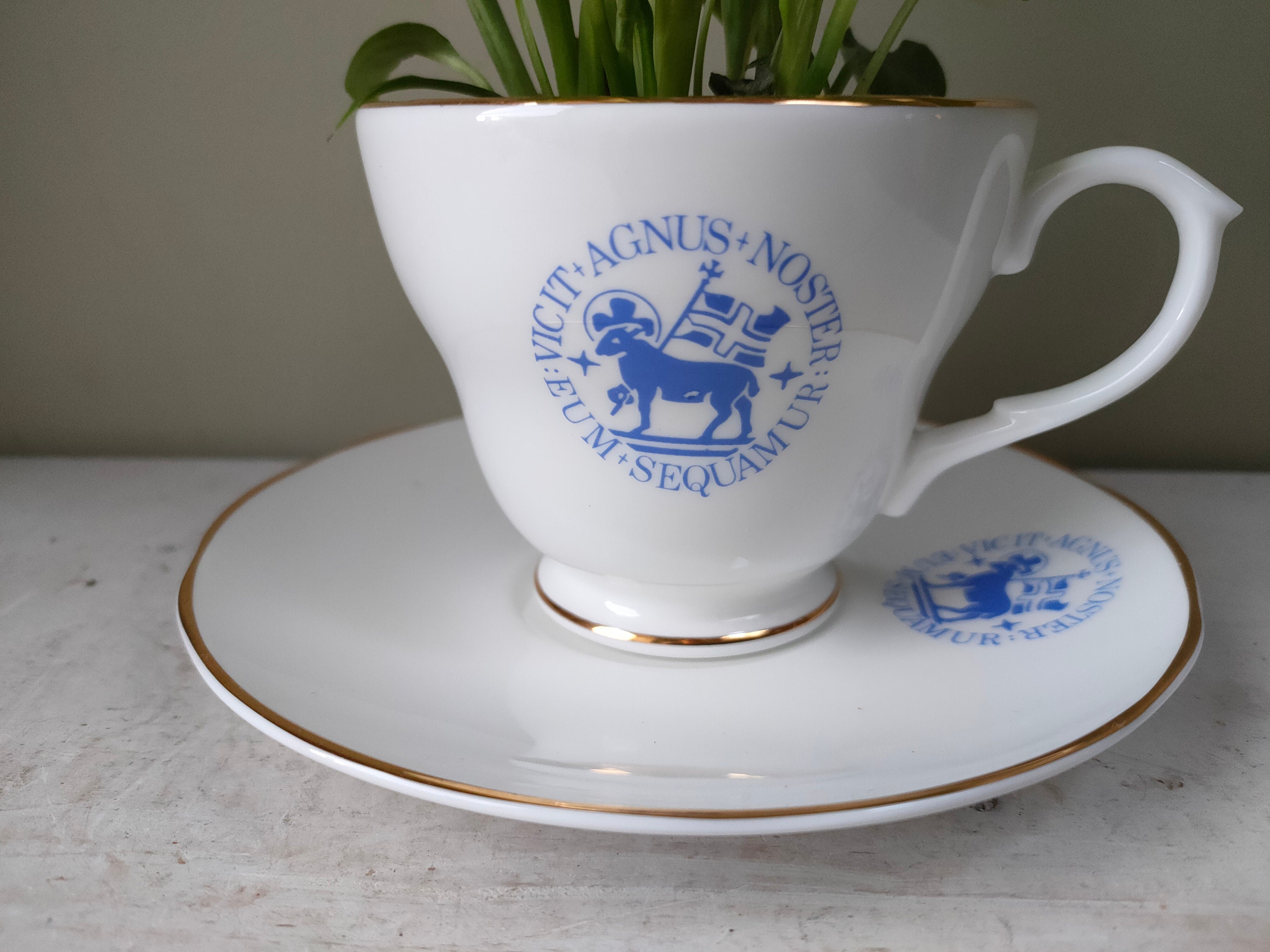 Indoor Planters Lovely ceramic indoor or outdoor tea cup planter tea