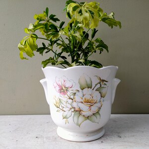 May include: White ceramic planter with a scalloped rim and two handles. The planter features a floral design with white, pink, and green flowers.