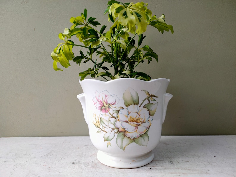 May include: White ceramic planter with a scalloped rim and two handles. The planter features a floral design with white, pink, and green flowers.