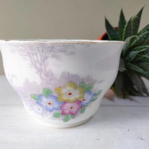 Reizender Vintage Zuckerdose Übertopf aus Colclough China. Blumenmuster mit handgemaltem Detail, Bone China. Schönes Geschenk.