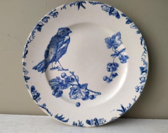 Gorgeous 8 3/4" antique plate in French transferware, blue and white bird and grape design. Lovely gift.
