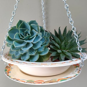 Op de afbeelding: Een hangende plantenpot gemaakt van twee witte keramische borden met een kleurrijk bloemenpatroon. De pot is gevuld met twee vetplanten, een met groene bladeren en de andere met een rozet van blauwgroene bladeren.