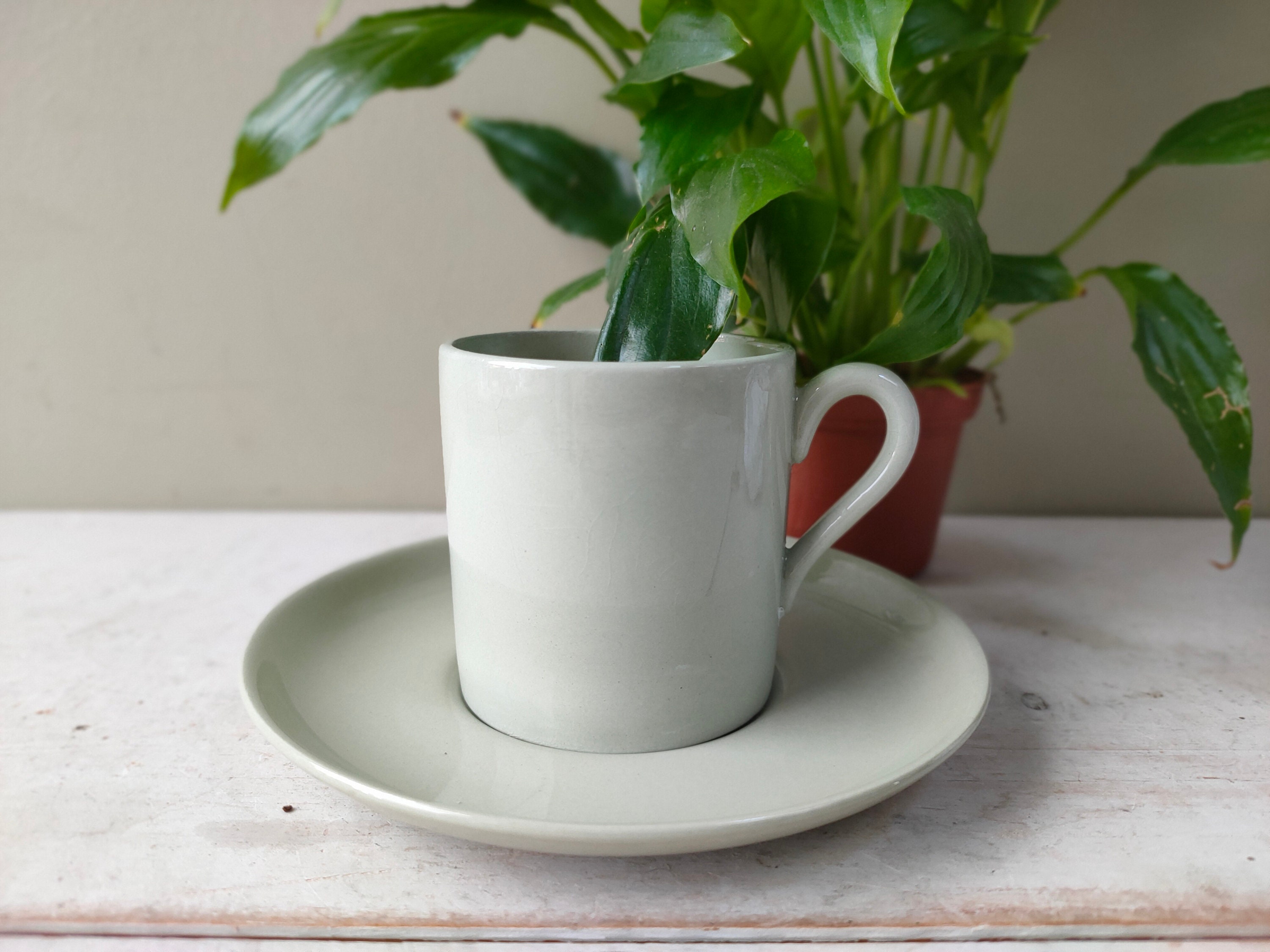 Single Vintage Espresso Cup or Sets Spode Woodland Pheasant Mini