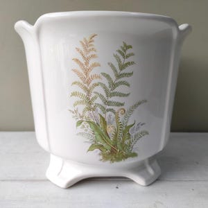 May include: White ceramic planter with a fern design. The planter has a square shape with curved handles and rests on three small feet. The fern illustration features green, brown, and yellow tones.