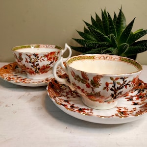 Könnte beinhalten: Zwei antike Teetassen und Untertassen mit einem floralen Design in Orange, Braun und Gold. Die Teetassen haben weiße Innenräume und verzierte Griffe. Die Untertassen und Tassen haben einen gewellten Rand. Eine grüne Pflanze ist im Hintergrund.