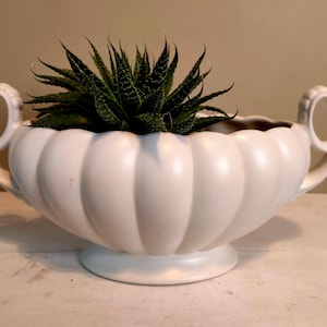 Pode incluir: Um vaso de cerâmica branco, canelado, com duas alças curvas, contendo uma planta suculenta verde. O vaso tem uma base redonda e uma abertura larga. O design geral é clássico e elegante, adequado para uso interno ou externo.