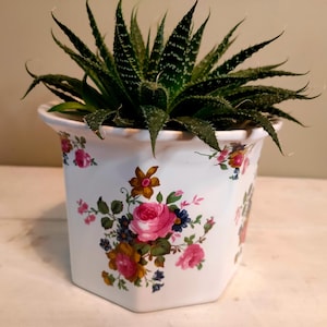 Pode incluir: Um vaso hexagonal de cerâmica branca com um design floral, contendo uma planta suculenta verde. O vaso apresenta flores rosa, amarelas e azuis. A planta tem folhas pontiagudas verde-escuras. O vaso tem cerca de 15 cm de altura.