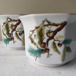 May include: Two white ceramic planters with a botanical design featuring brown branches, green leaves, and acorns. The planters have a flared shape and a brown rim. The design is repeated on both planters.