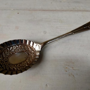 Pode incluir: Colher de servir prateada com uma tigela oval e um cabo longo. A tigela tem um desenho floral no centro e uma borda ondulada. O cabo tem um padrão decorativo na extremidade.
