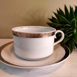 May include: White teacup and saucer set with a silver-colored band around the rim and the edge of the saucer. The teacup has a curved handle. A green plant is in the background.
