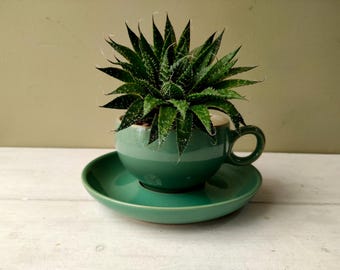 Lovely ceramic indoor or outdoor tea cup planter. Made from Denby Pottery Stoneware in "Manor Green" design cup and saucer. Cactus planter.