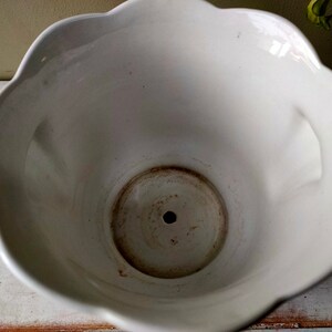 May include: White ceramic flower pot with a scalloped rim and a drainage hole in the bottom.
