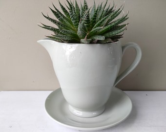 Belle jardinière en céramique pour tasse à thé d'intérieur ou d'extérieur. Fabriqué à partir d'un pot à lait et d'une soucoupe vintage Spode Flemish Green. Jardinière de cactus ou de succulentes.