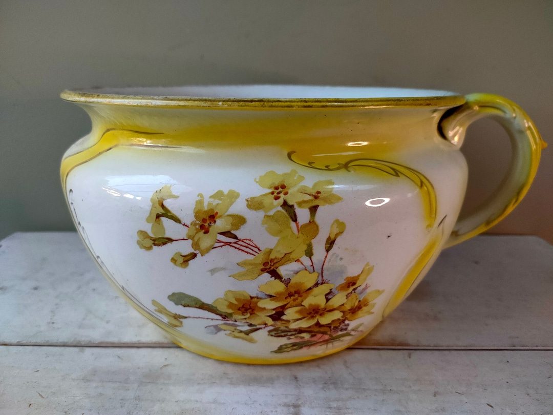 Antique Chamber Pot Planter by Grimwades With Primrose Design